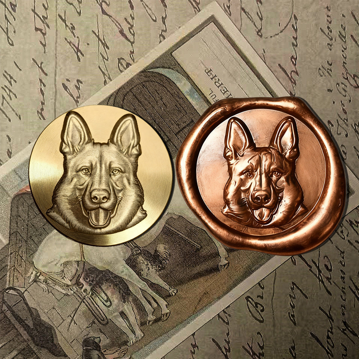 Doggie(German Shepherd)